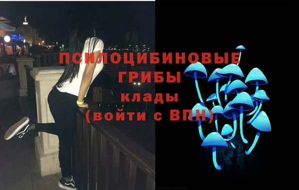 молекула духа Мегион