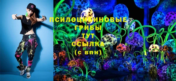 гидропоника Михайловка