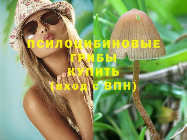 соль курить ск Медвежьегорск