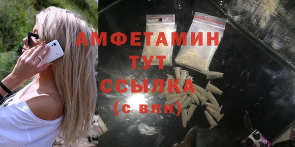 молекула духа Мегион