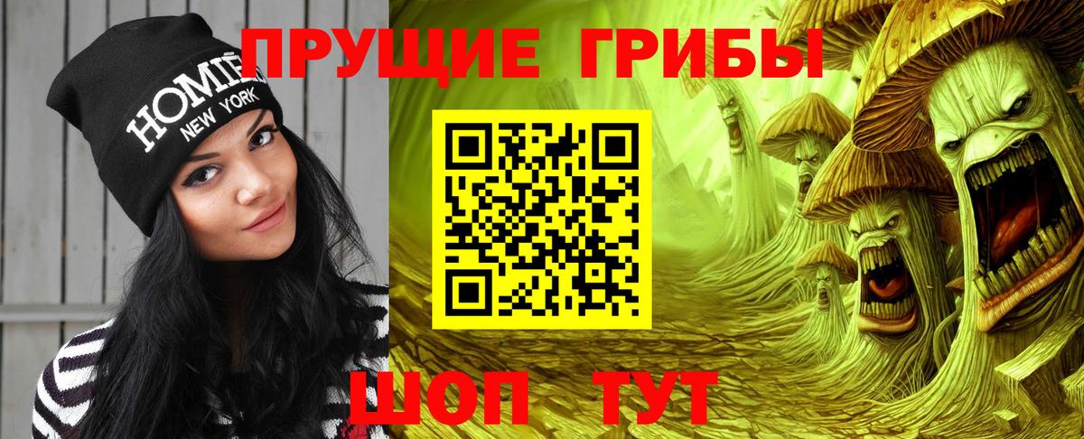 Псилоцибиновые грибы GOLDEN TEACHER  Абакан  купить  цена  Галлюциногенные грибы мицелий 